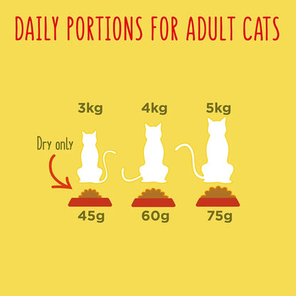 Go Cat Adult Crunchy and Tender Beef and Chicken Dry Cat Food 900g