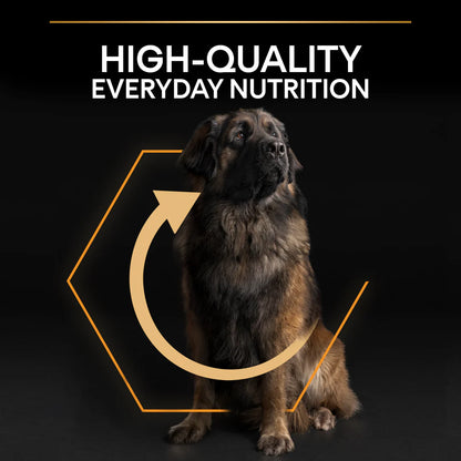 Pro Plan Adult Large Robust Everyday Nutrition Chicken Dry Dog Food 14kg