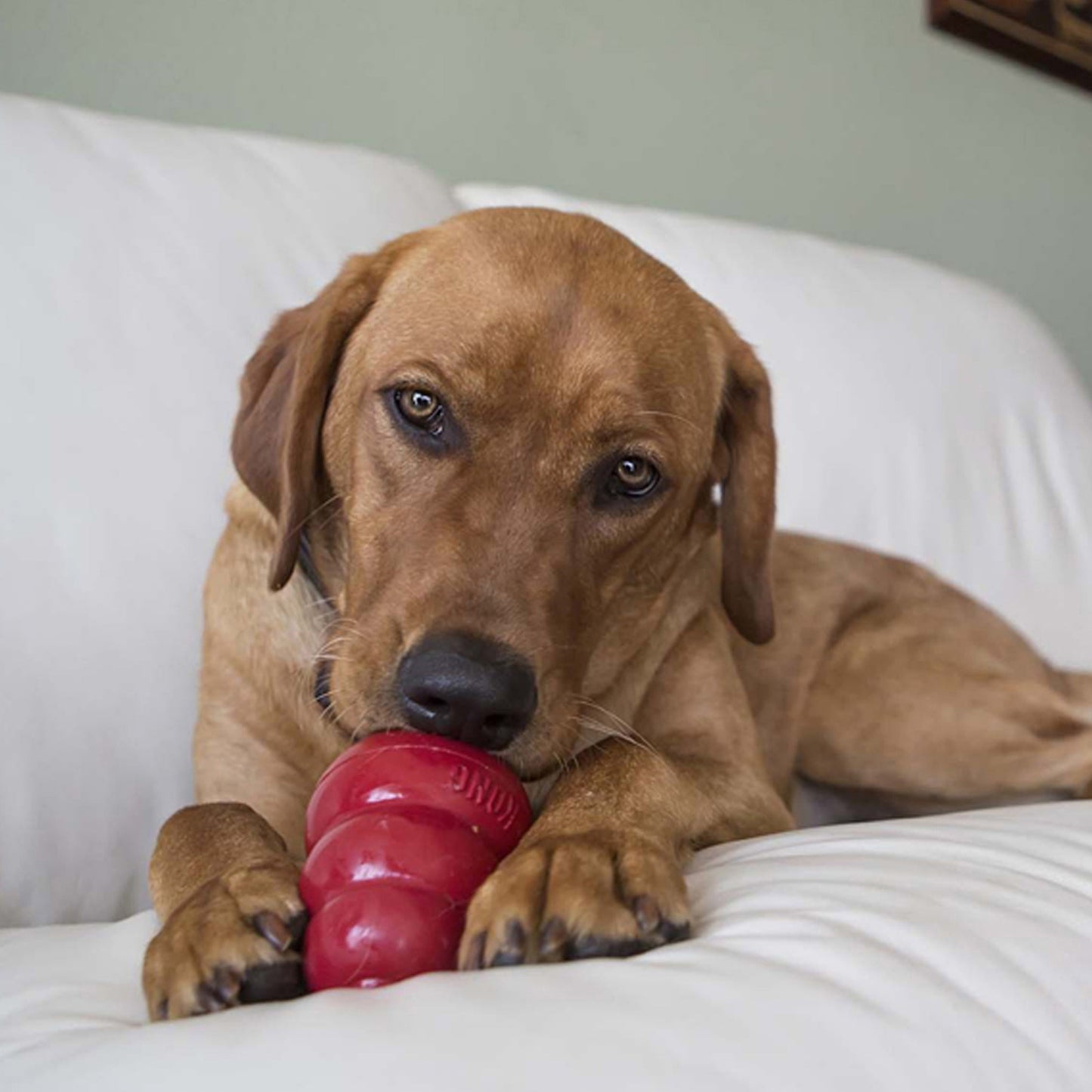 KONG Dog Snacks Bacon & Cheese