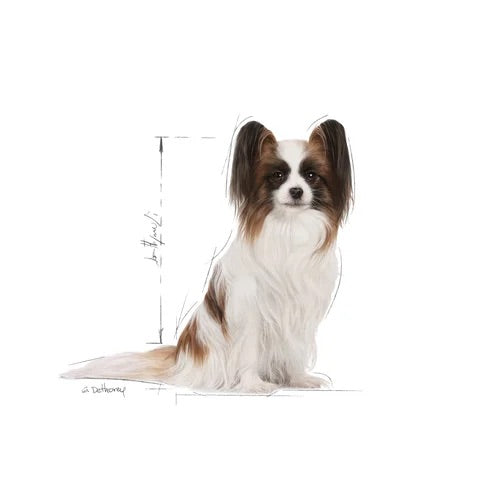 Royal Canin X-Small Adult 8+ Dry Dog Food 1.5kg