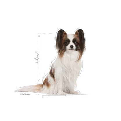 Royal Canin X-Small Adult 8+ Dry Dog Food 1.5kg