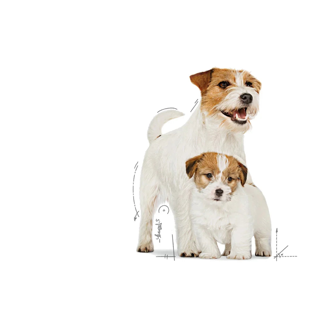 Royal Canin Mother & Babydog Starter Ultra Soft Mousse Wet Dog Food 195g