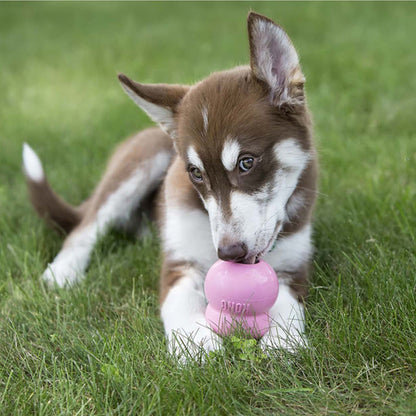 KONG Easy Treat Puppy 226g