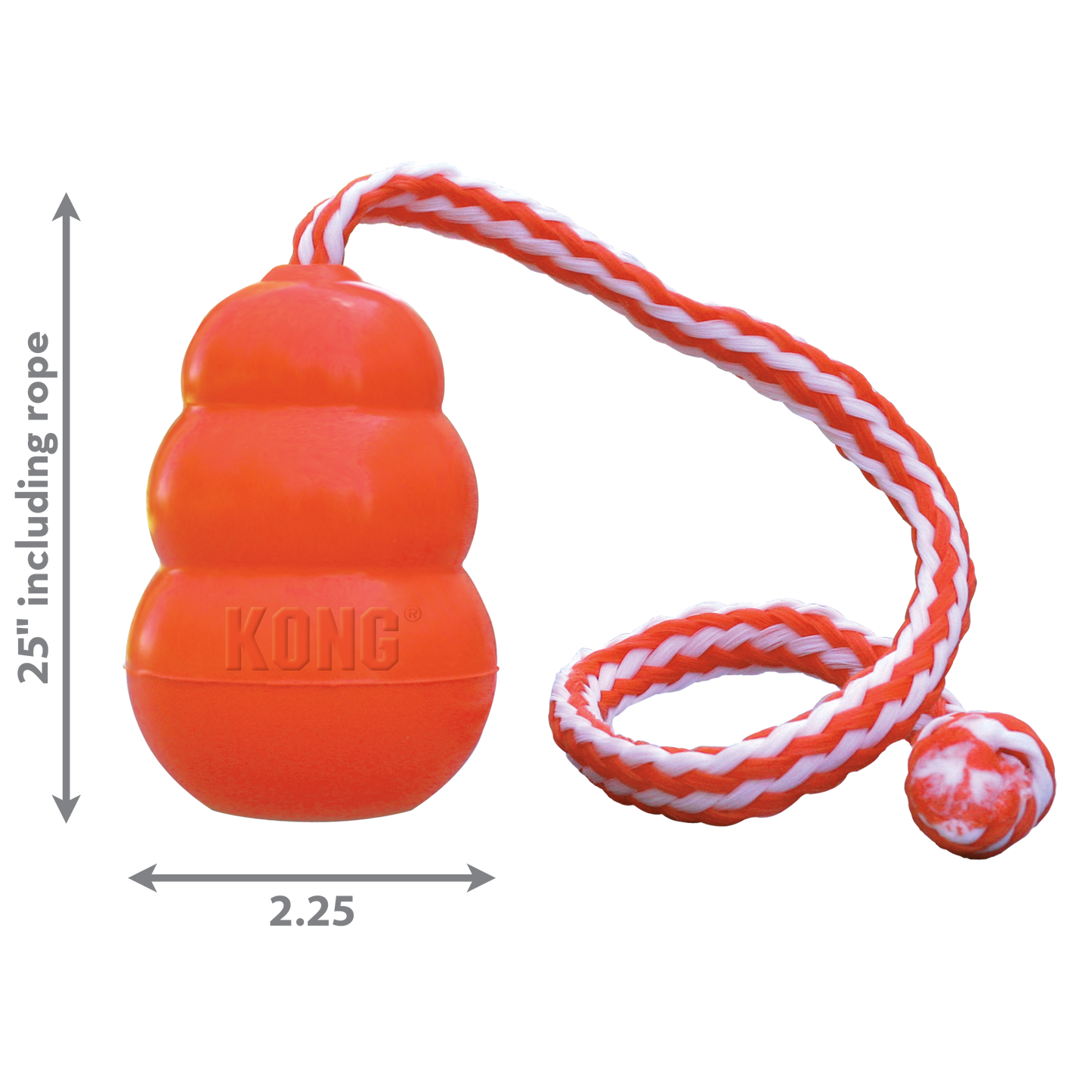 KONG Aqua Dog