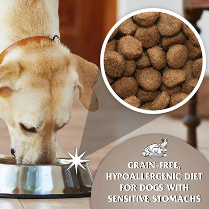 Dr John Grain Free Chicken and Potato Dry Dog Food