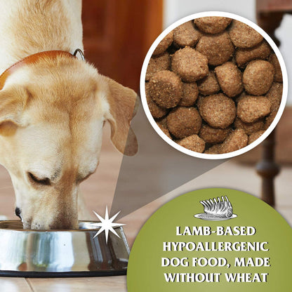 Dr John Hypoallergenic Lamb with Rice Dry Dog Food
