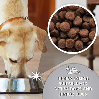Dr John Titanium Chicken with Vegetables Dry Dog Food 15kg