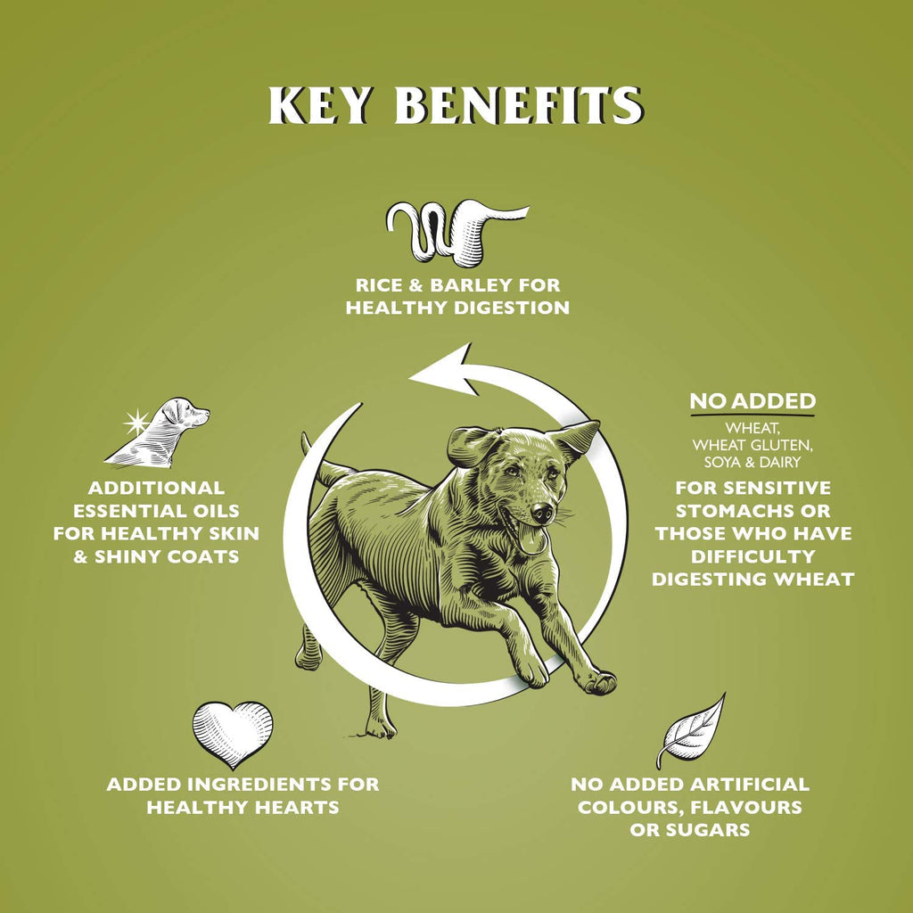 Dr John Hypoallergenic Lamb with Rice Dry Dog Food