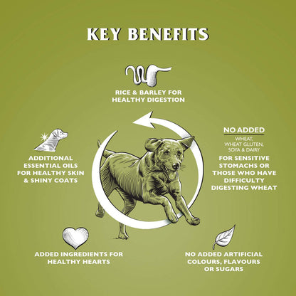 Dr John Hypoallergenic Lamb with Rice Dry Dog Food