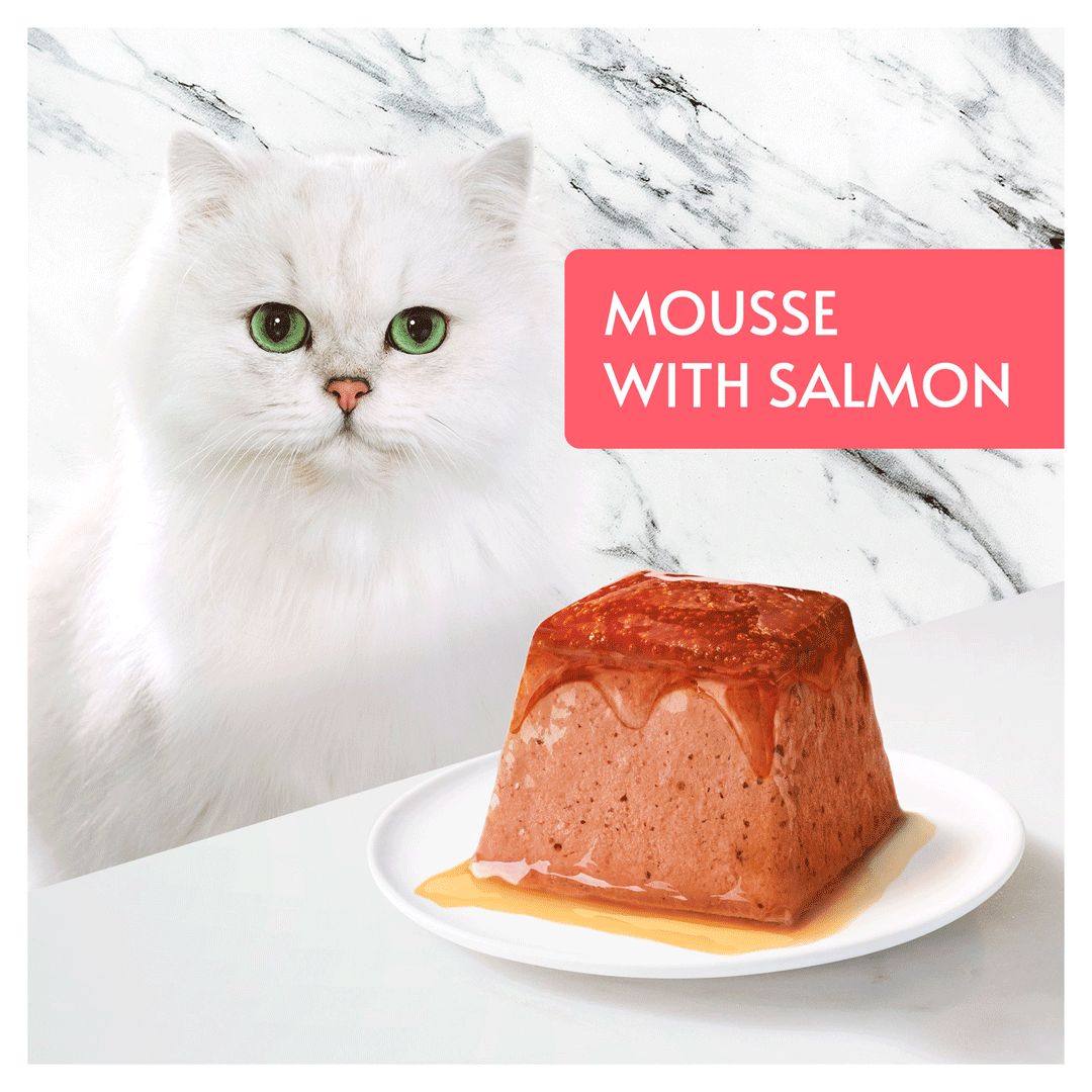 Gourmet Adult Revelations Mousse with Salmon Wet Cat Food 4 x 57g