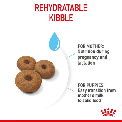 Royal Canin Mother & Babydog Maxi Starter Dry Dog Food