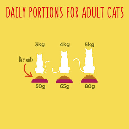 Go Cat Adult Chicken and Turkey Dry Cat Food 320g