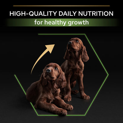 Pro Plan Large Athletic Puppy Healthy Start Chicken Dry Dog Food