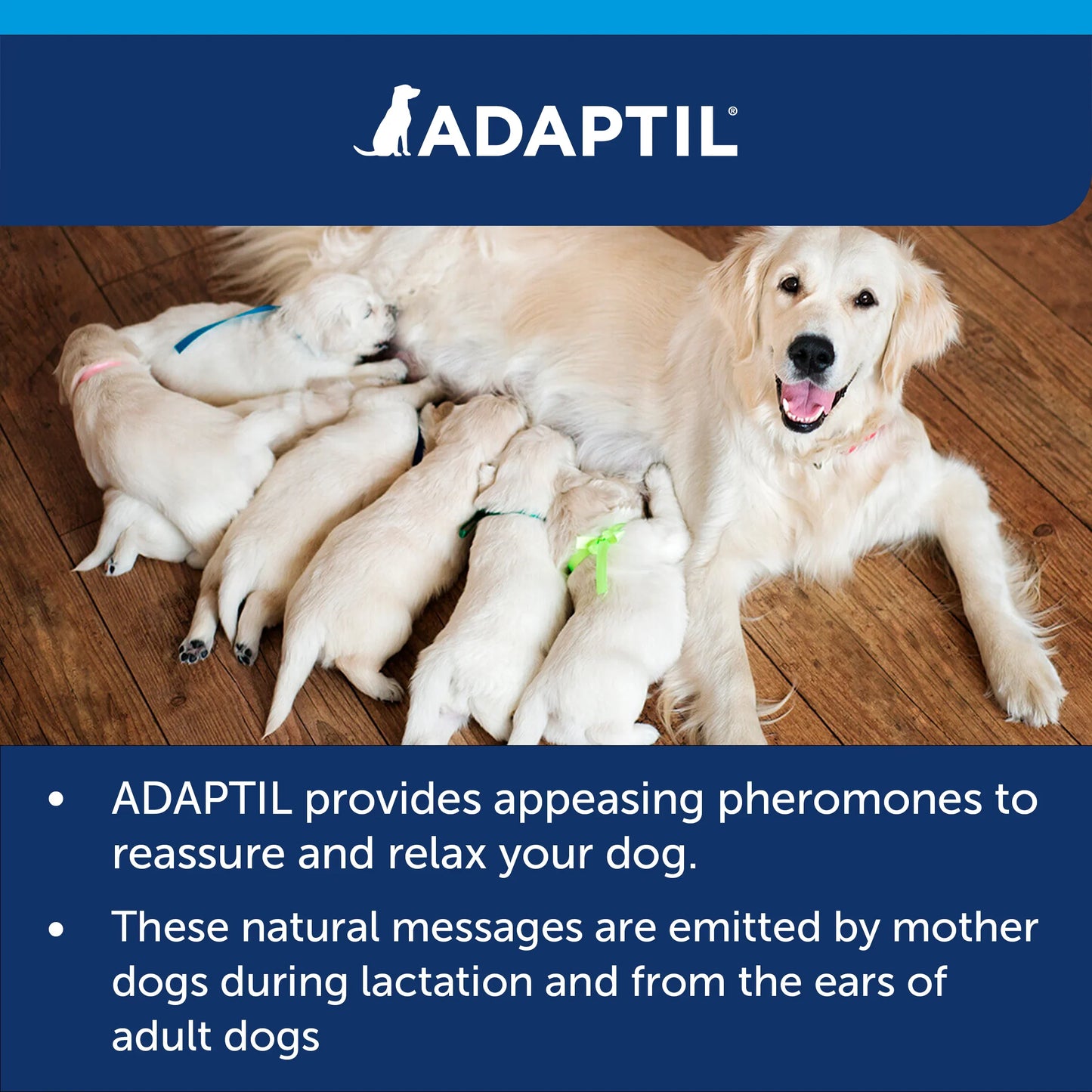 Adaptil Calm Diffuser for Dogs 48ml