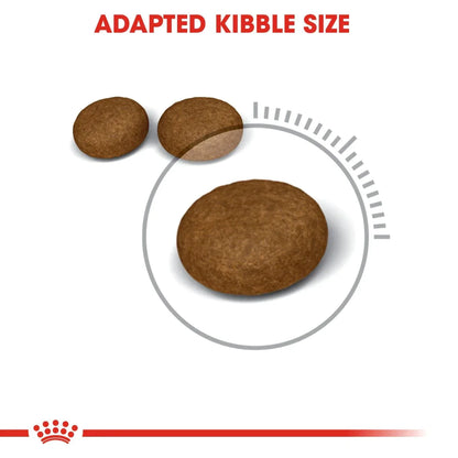 Royal Canin Adult Hair & Skin Care Dry Cat Food