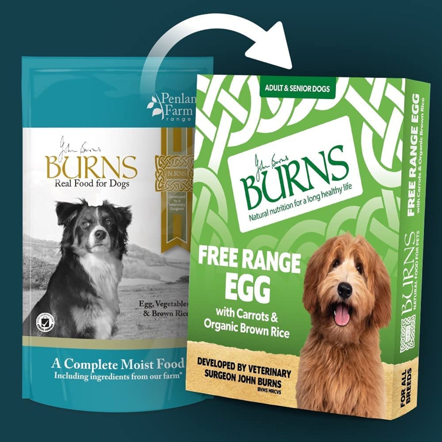 Burns Free Range Egg with Carrots & Brown Rice Wet Dog Food