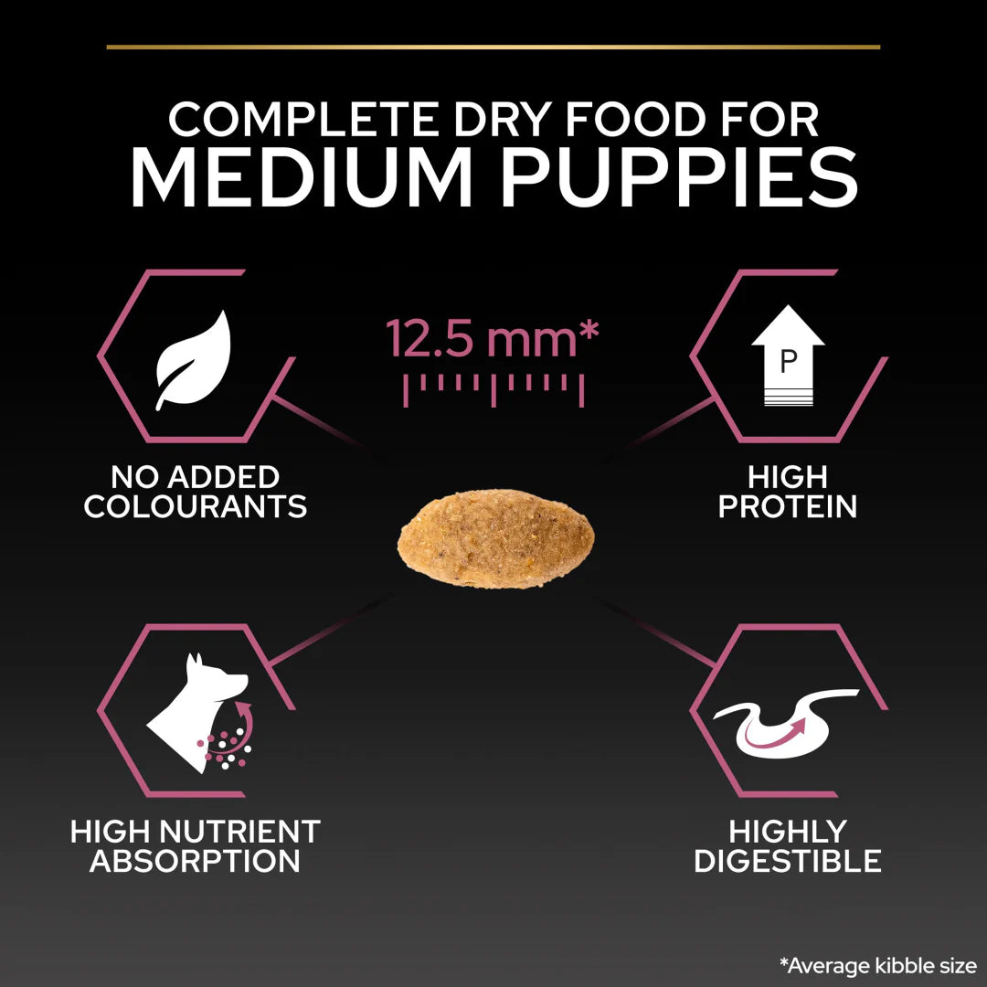 Pro Plan Medium Puppy Sensitive Skin Salmon Dry Dog Food