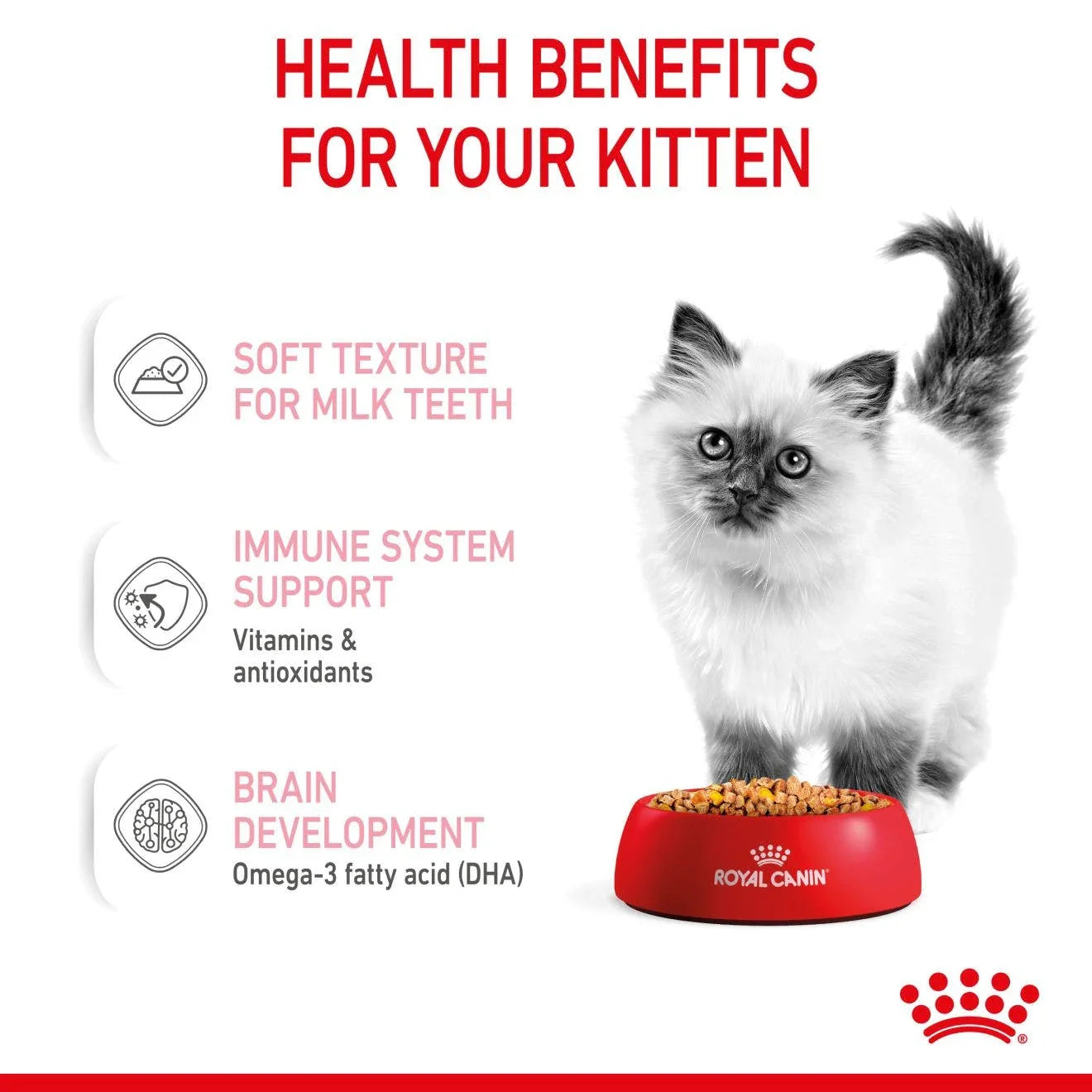 Royal Canin Kitten Chunks In Jelly Cat Wet Food