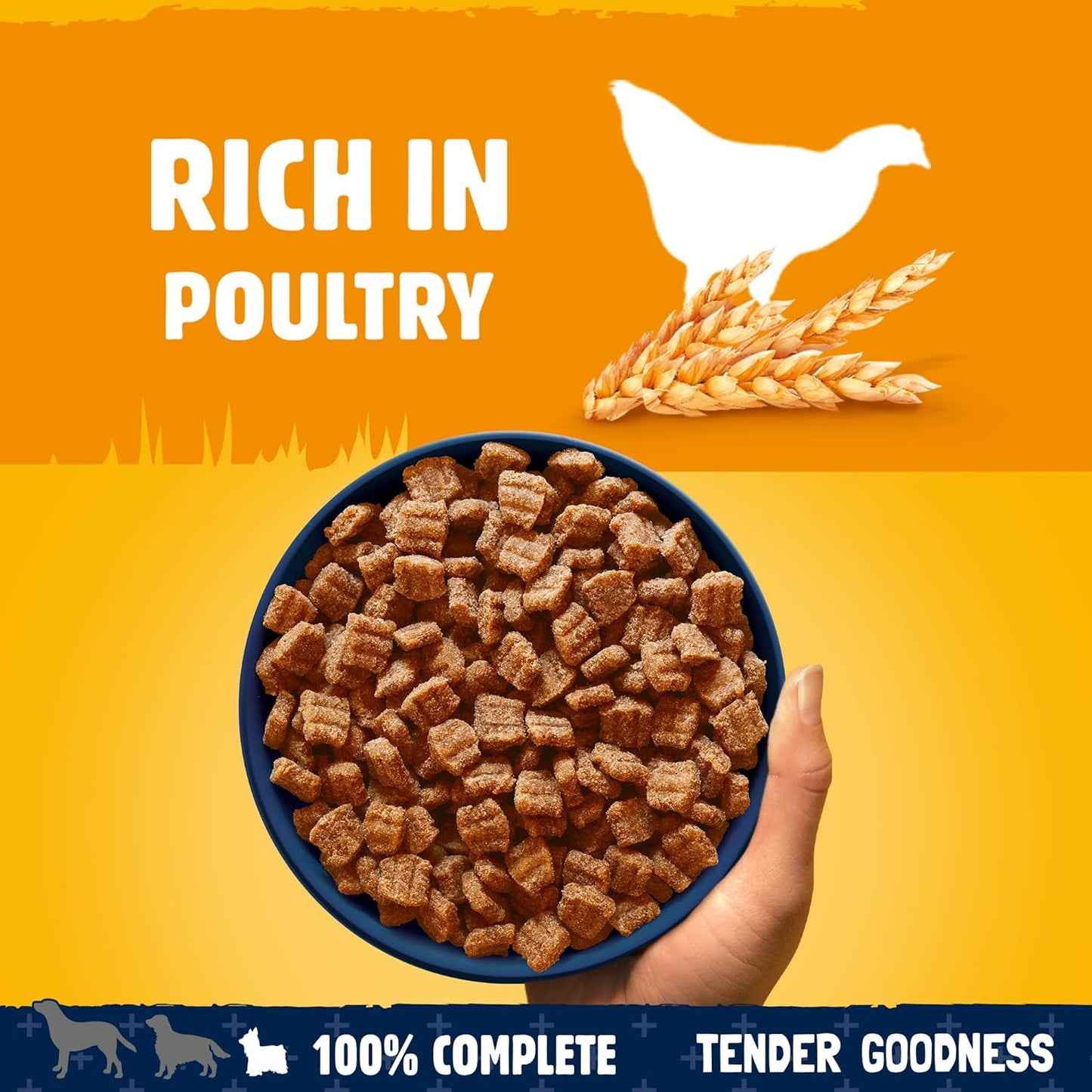 Pedigree Tender Goodness Adult Small with Poultry Dry Dog Food 2.6kg