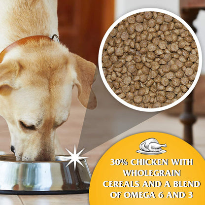 Dr John Puppy Chicken Recipe Dry Dog Food