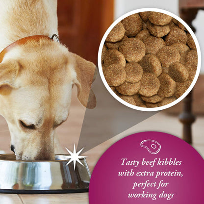 Arkwrights Sporting Complete Extra Beef Dry Dog Food 15kg
