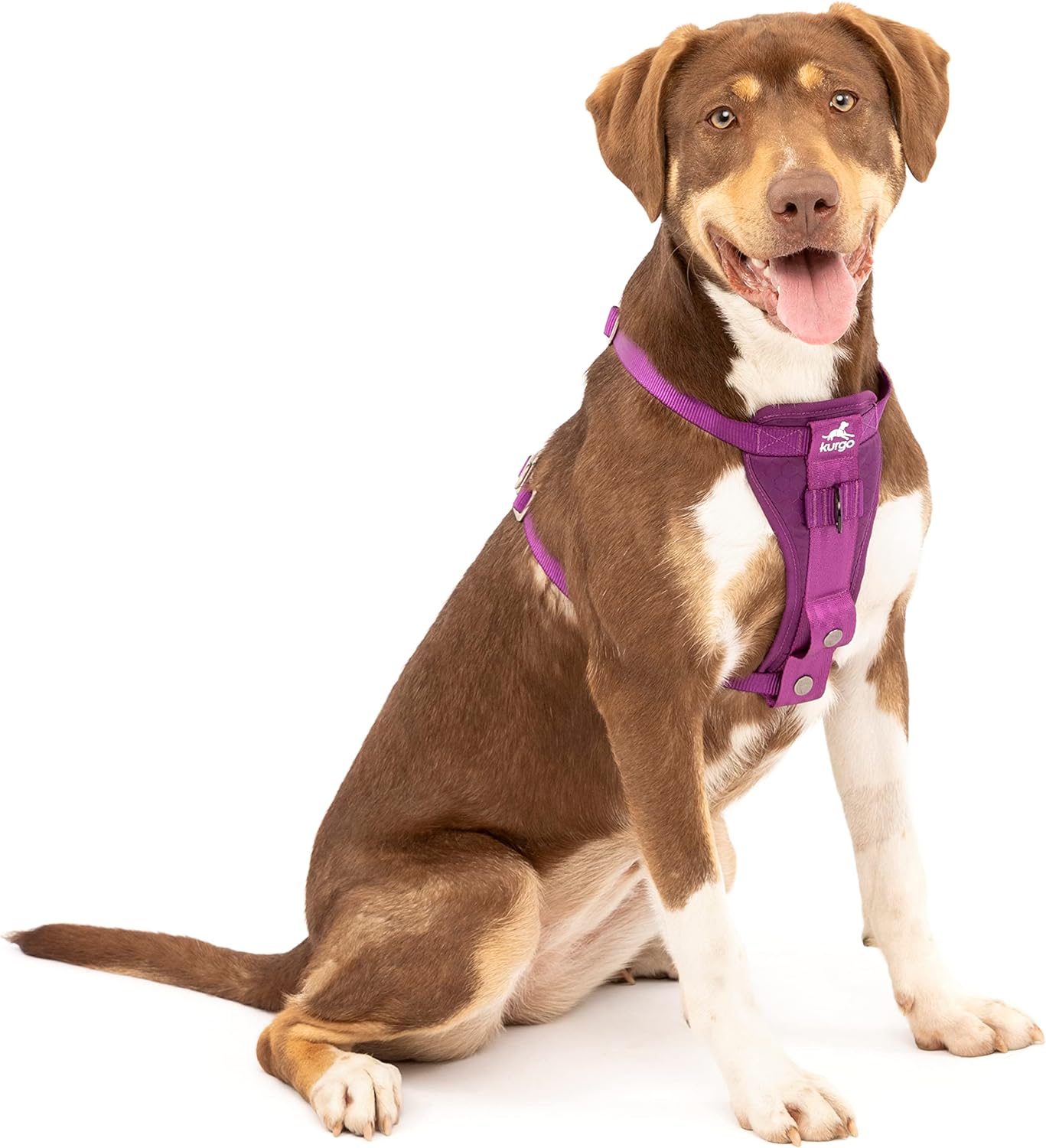 Kurgo Enhanced Strength Tru-Fit Dog Car Harness