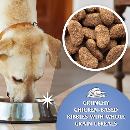 Dr John Silver Chicken with Vegetables Dry Dog Food 15kg