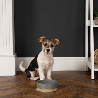 Scruffs Scandi Non Tip Pet Food & Water Bowl Grey 16 x 16 x 5cm | 0.5L