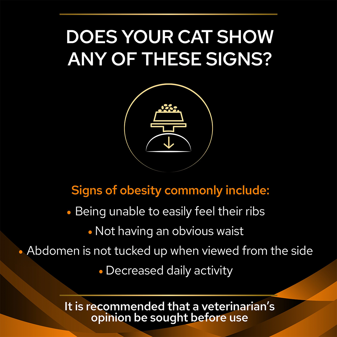 Pro Plan Veterinary OM Obesity Management with Chicken Wet Cat Food 10 x 85g