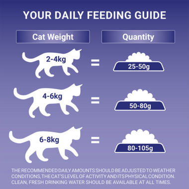 Purina One 7+ Dry Cat Food Rich in Salmon 2.8kg