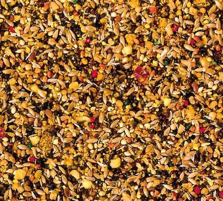 Beaphar XtraVital Canaries Food 500g