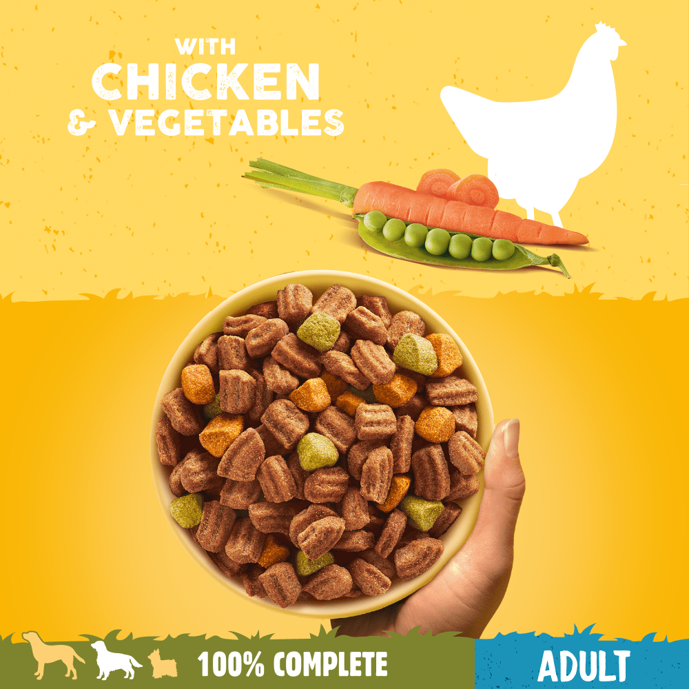 Pedigree Complete with Chicken & Vegetables Adult Dry Dog Food 12kg