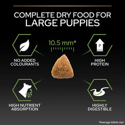 Pro Plan Large Athletic Puppy Healthy Start Chicken Dry Dog Food