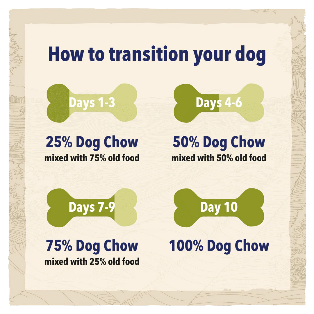 Beta Adult Light Turkey Dry Dog Food