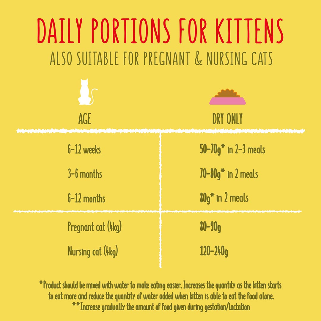 Go Cat Junior Chicken and Milk Dry Cat Food