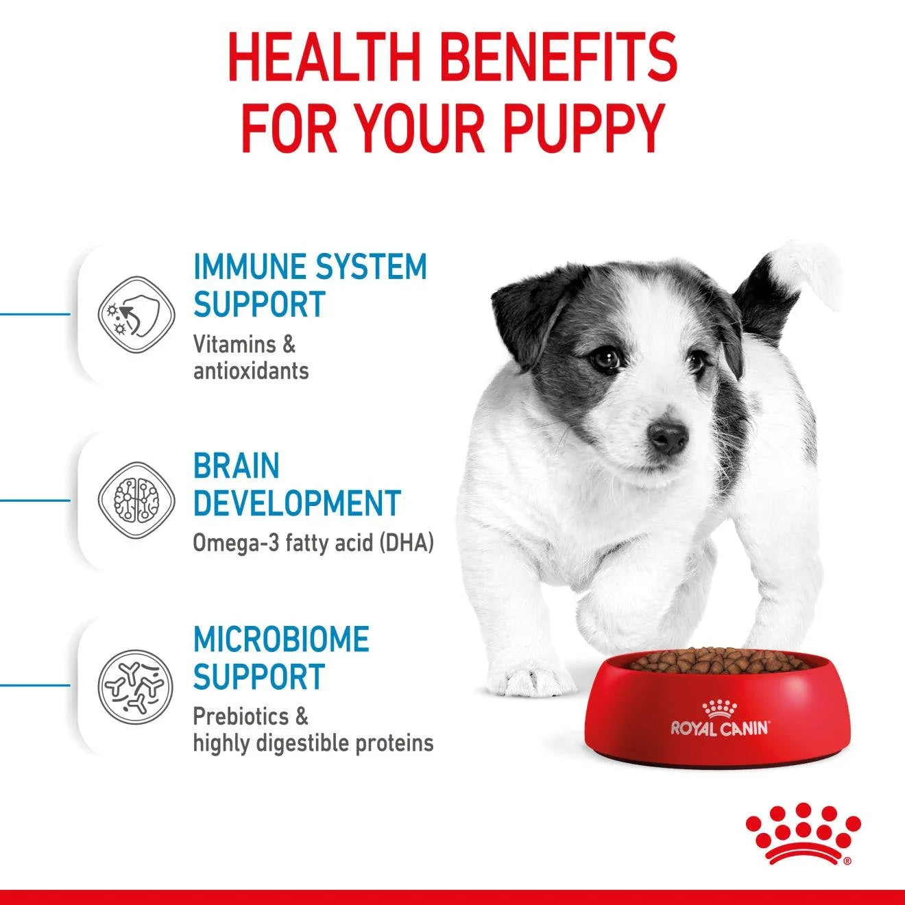 Royal Canin Puppy Mini Dry Dog Food