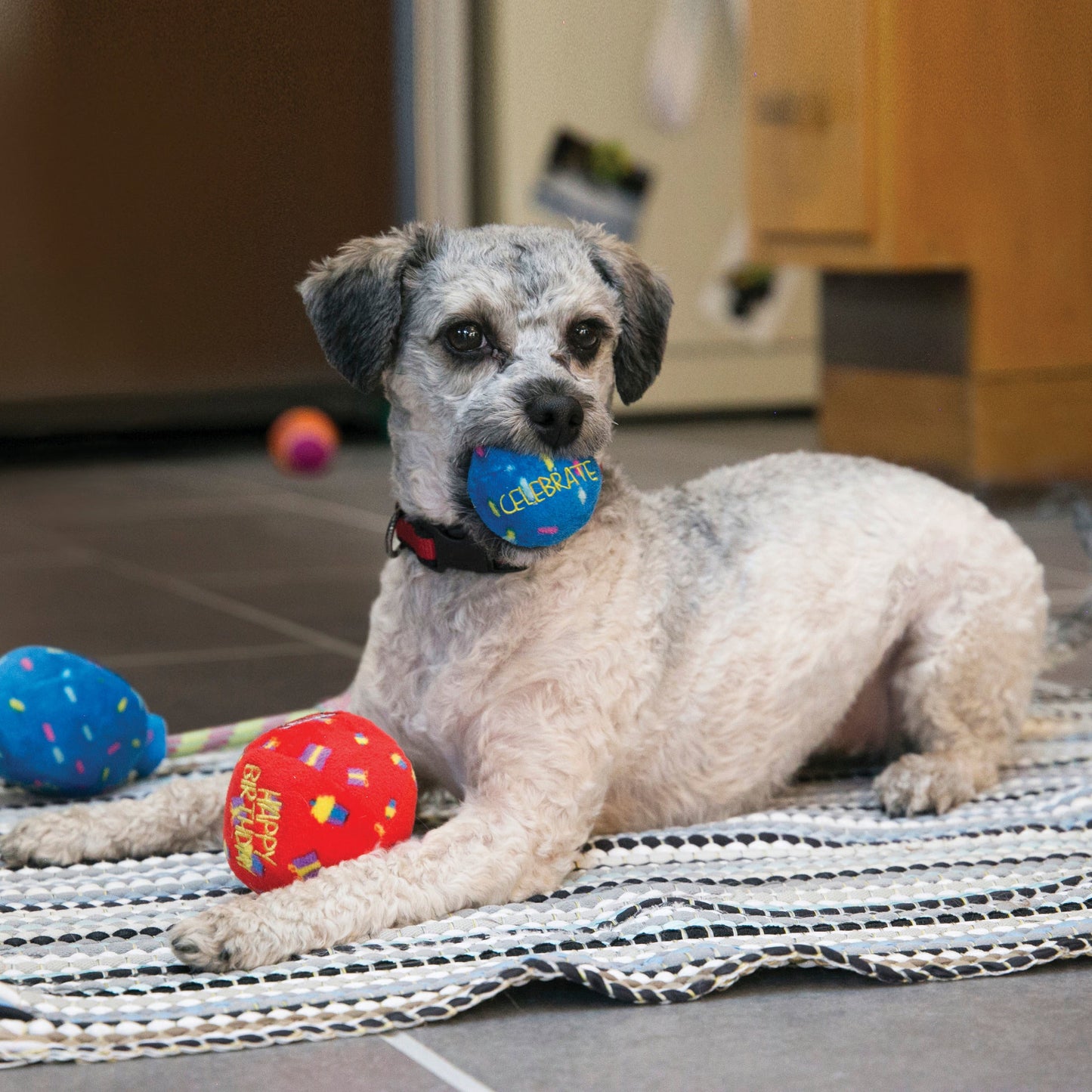 KONG Occasions Birthday Balls 2 pack