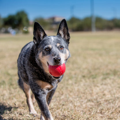 KONG Dog Ball With Hole