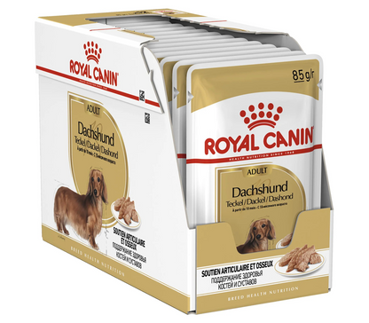 Royal Canin Adult Dachshund Wet Dog Food