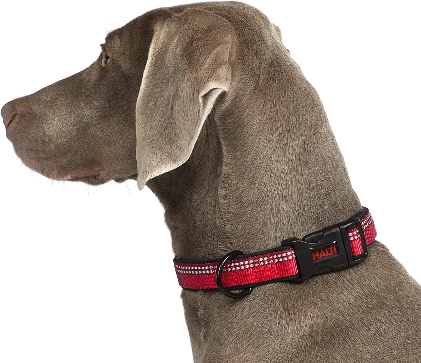 Halti Comfort Collar for Dogs