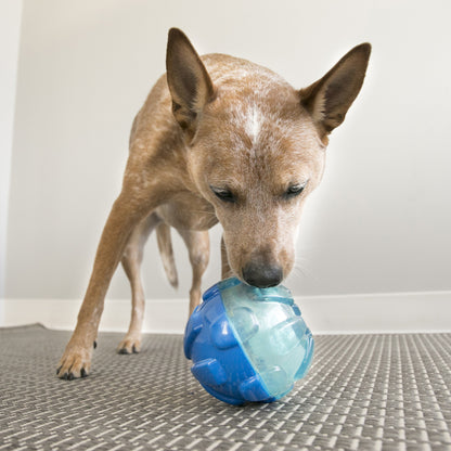 KONG Rewards Dog Ball Large