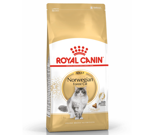 Royal Canin Adult Norwegian Forest Dry Cat Food 10kg