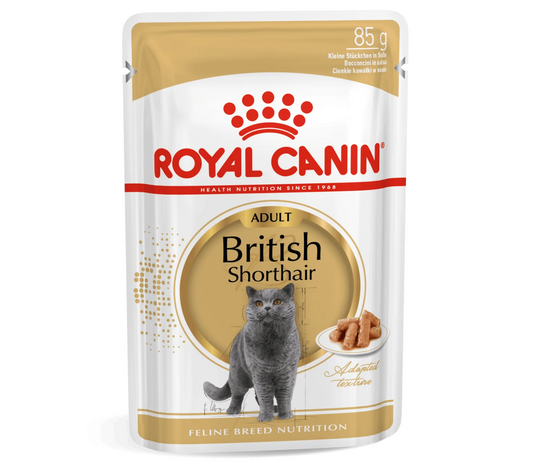 Royal Canin Adult British Shorthair Narrow Chunks In Gravy Wet Cat Food