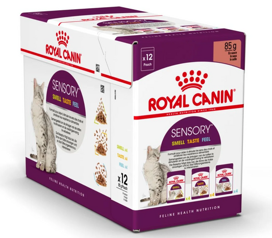 Royal Canin Adult Sensory Smell Taste Feel Chunks In Gravy Multipack 12 x 85g
