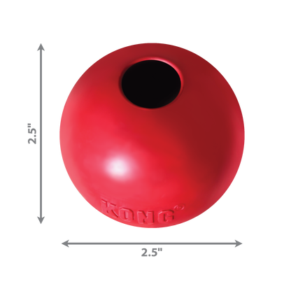 KONG Dog Ball With Hole