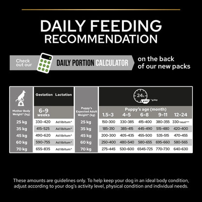 Pro Plan Large Athletic Puppy Healthy Start Chicken Dry Dog Food