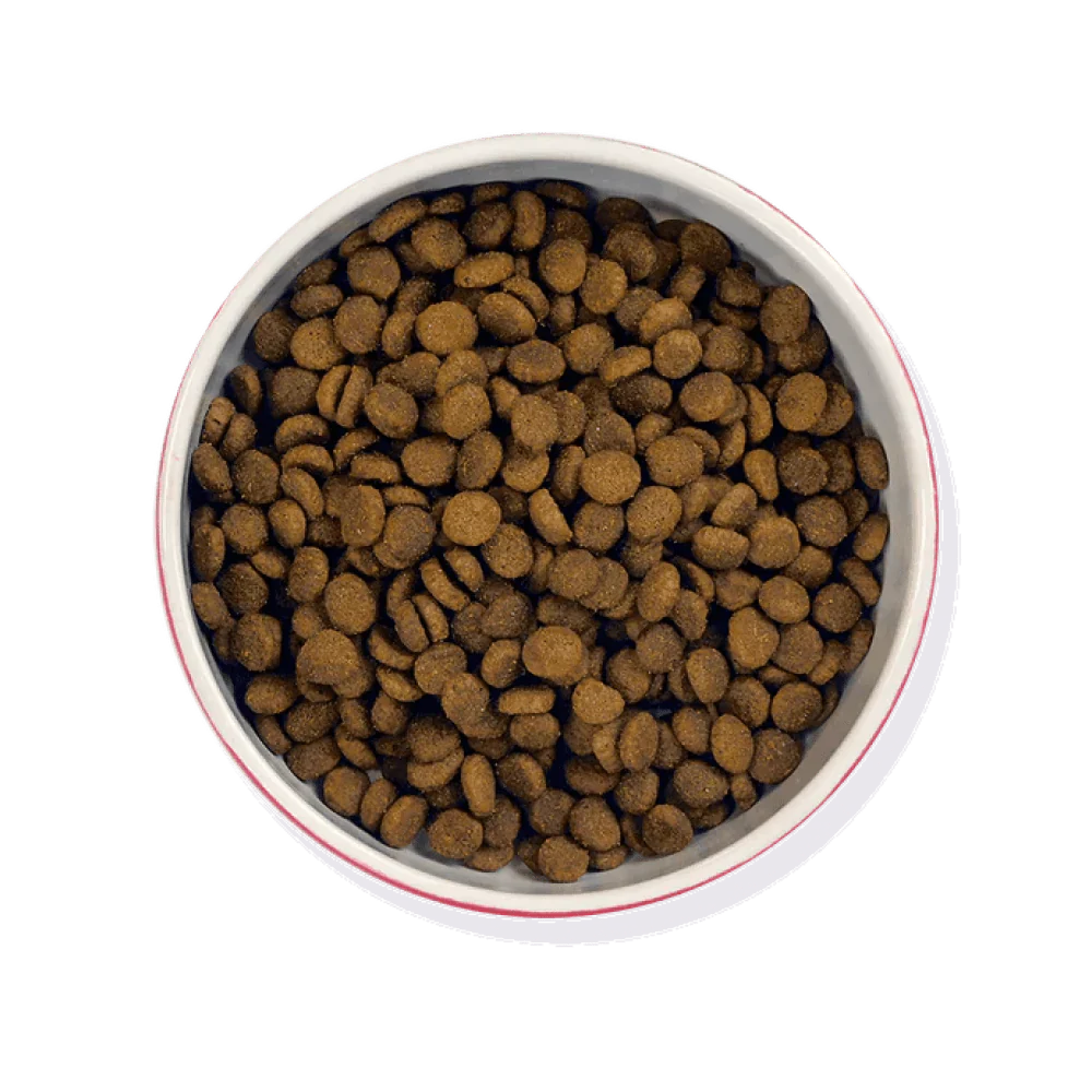 Meowing Heads Paw Lickin Chicken Dry Cat Food