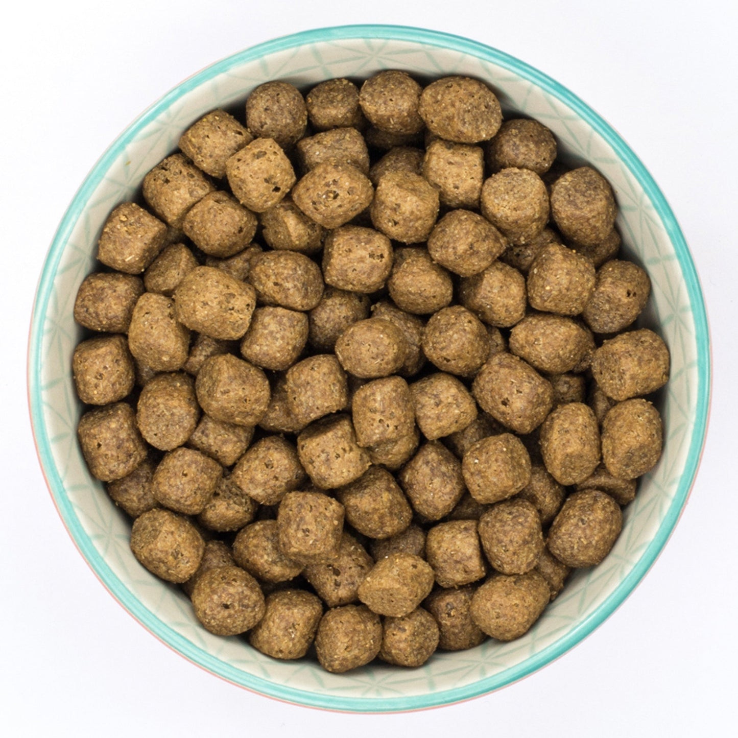 Burns Sensitive Duck & Brown Rice Dry Dog Food