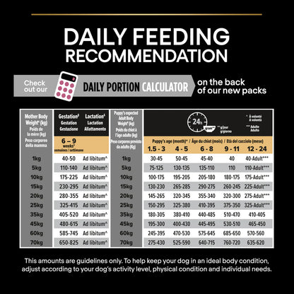 Pro Plan Adult Medium Sensitive Skin Salmon Dry Dog Food