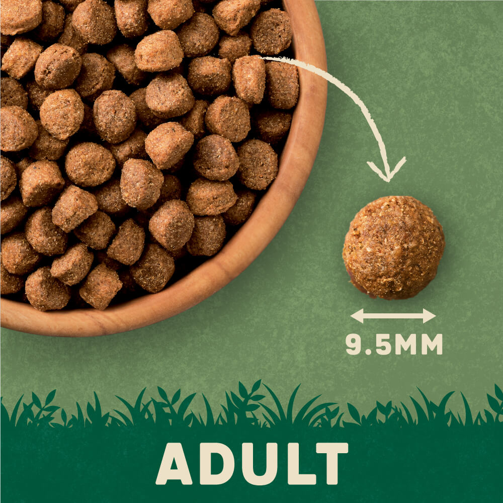 Harringtons Rich in Beef & Rice Adult Dry Dog Food 1.7kg